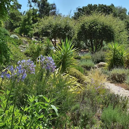 Appartement Pirilampo