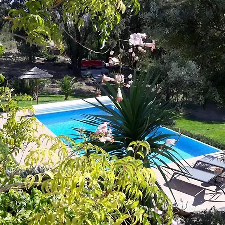 Pirilampo * Monchique