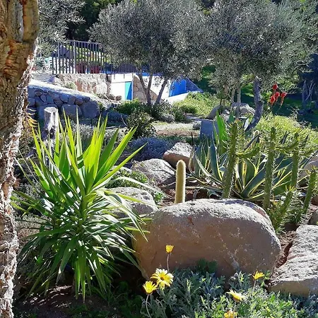 Pirilampo * Monchique