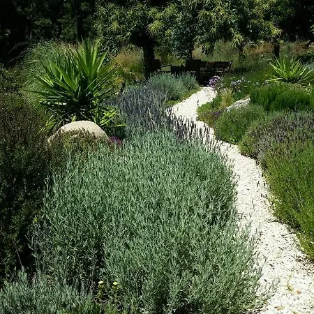 Appartement Pirilampo Monchique