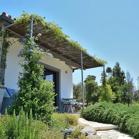 Apartamento Pirilampo