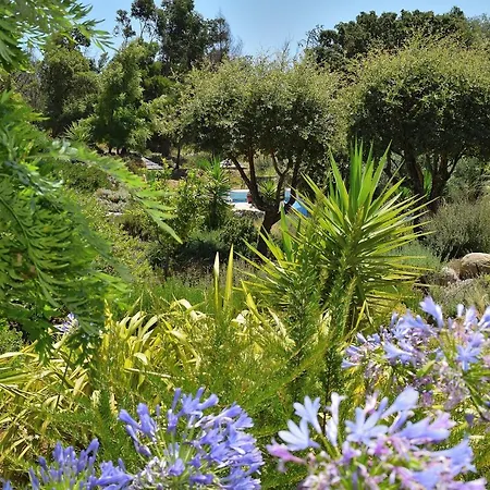 Pirilampo Apartamento Monchique