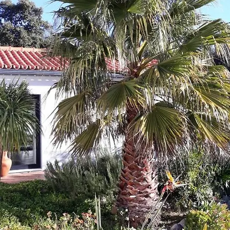 Appartement Pirilampo