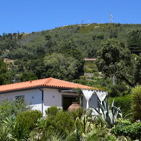 Apartamento Pirilampo Monchique