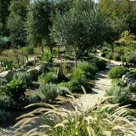 Pirilampo Apartamento *