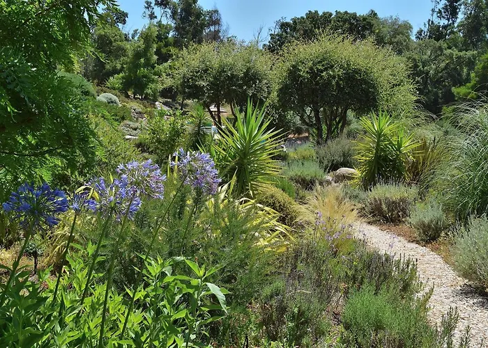 アパート Pirilampo