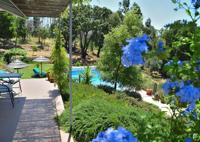 Pirilampo アパート モンシケ