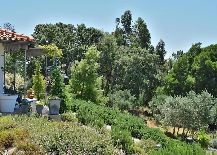 Pirilampo アパート