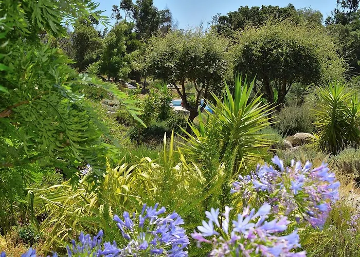 Pirilampo アパート モンシケ