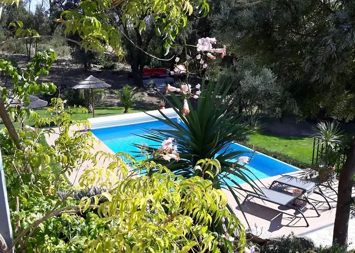 Pirilampo * モンシケ