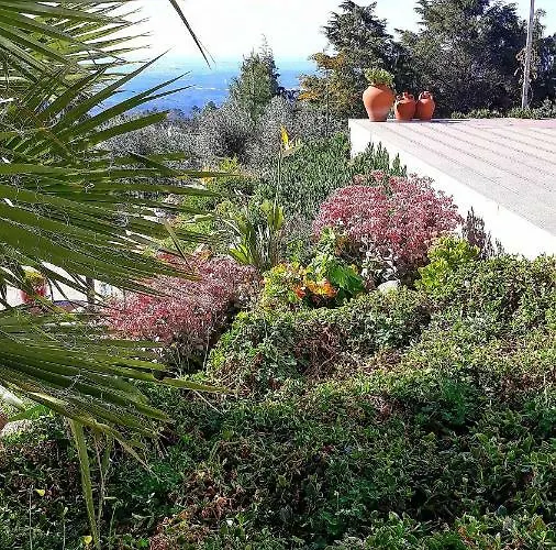 Pirilampo アパート *