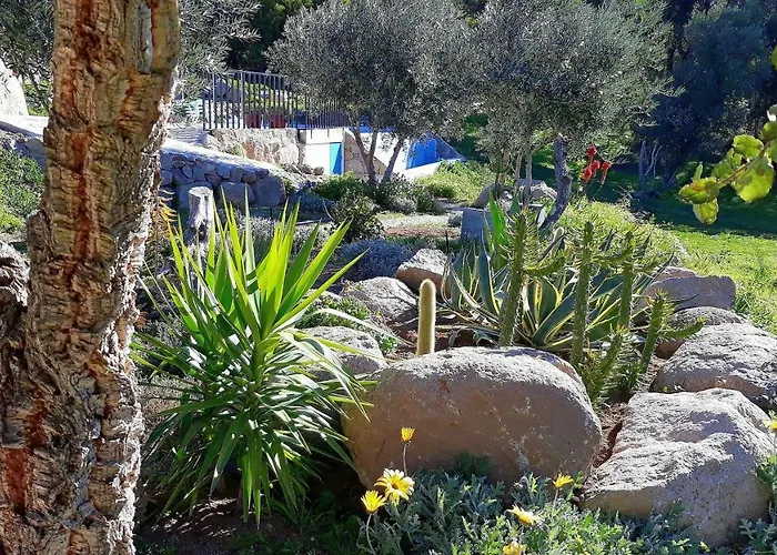 Pirilampo * モンシケ