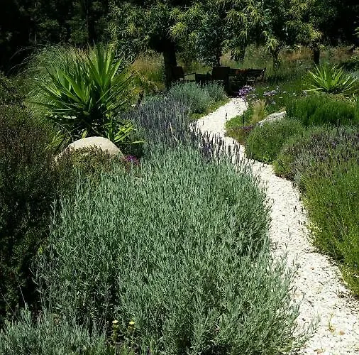 アパート Pirilampo モンシケ