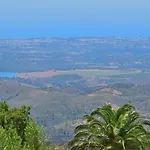 Pirilampo