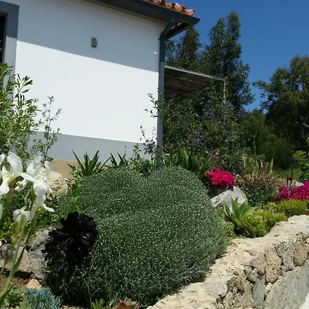 Pirilampo Monchique